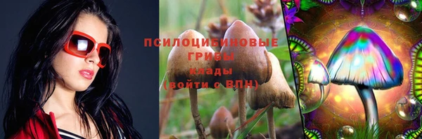 гашик Бронницы