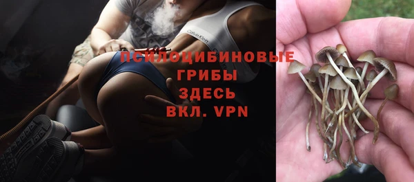 марки lsd Бородино