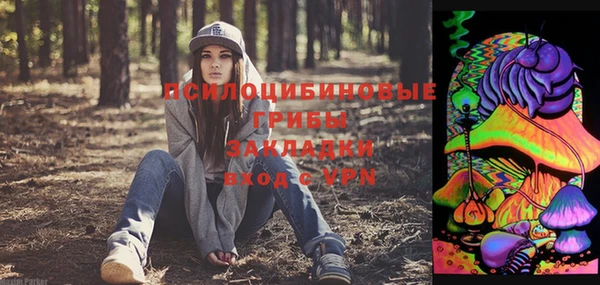марки lsd Бородино