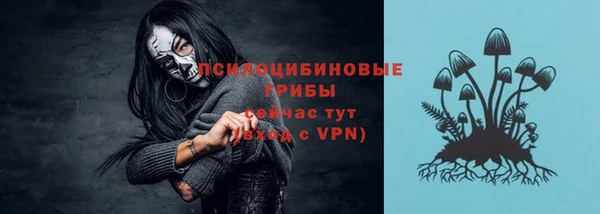 гашик Бронницы
