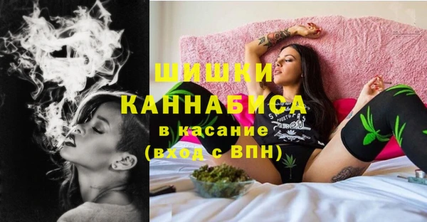 гашик Бронницы