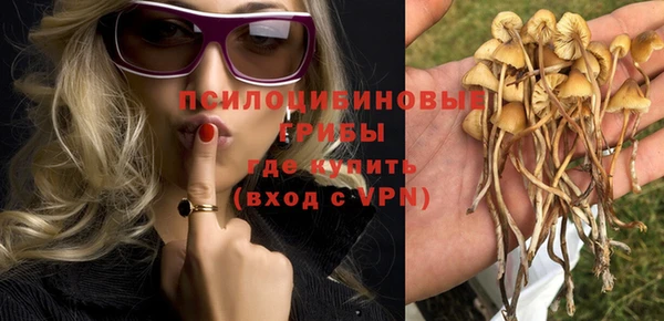 марки lsd Бородино