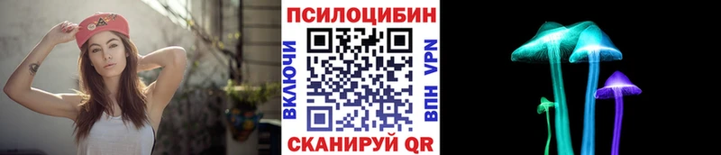 купить Карталы Псилоцибиновые грибы Psilocybe